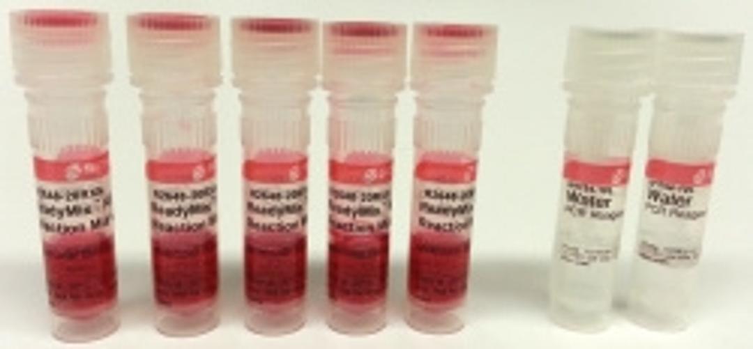 REDTaq® ReadyMix™ PCR Reaction Mix - Merck KGaA, Darmstadt, Germany - Life Sciences