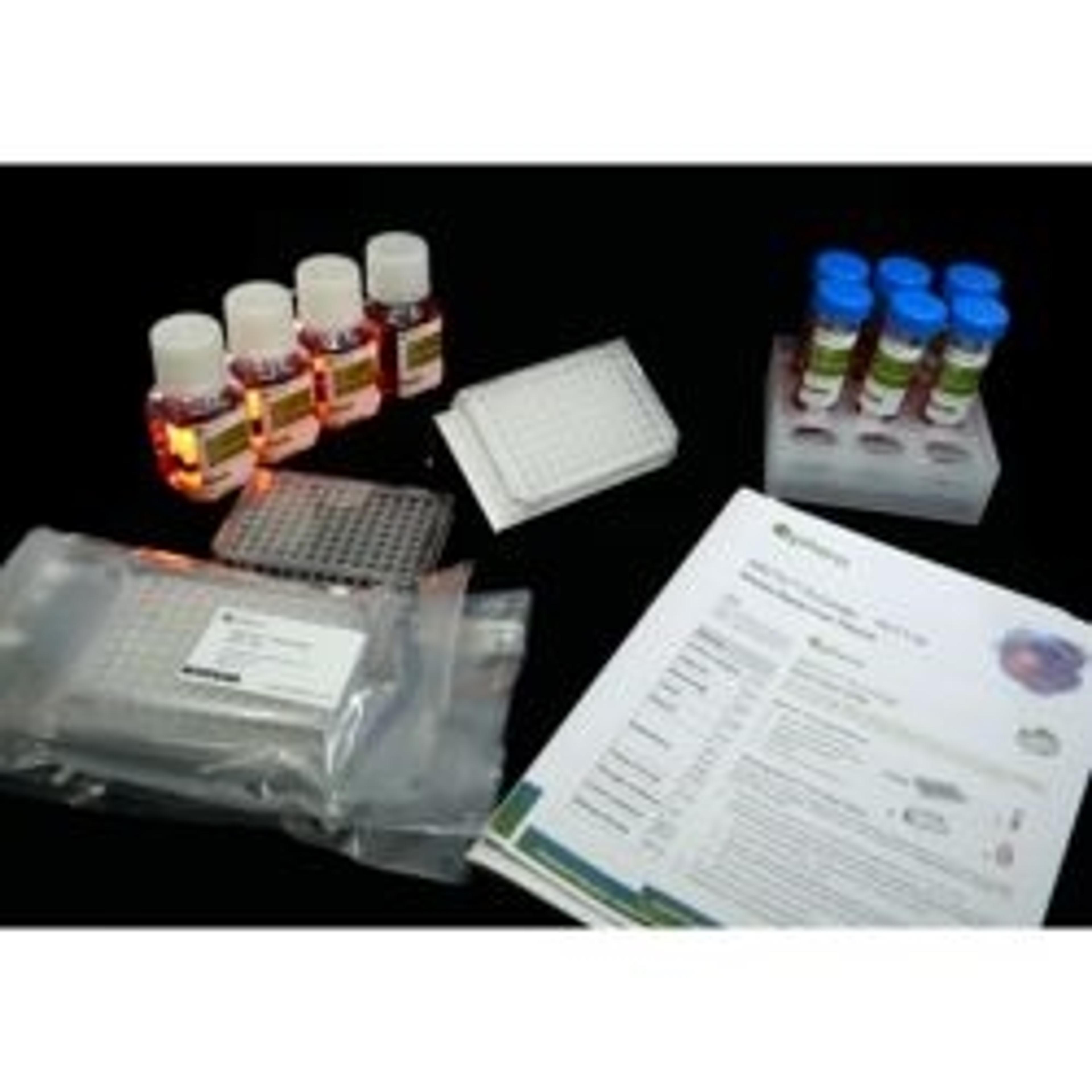 ARCTis™ Human Tumor CryoKit Starter - InSphero