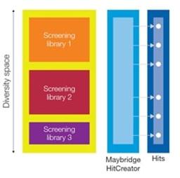 Maybridge Screening Collection - Thermo Fisher Scientific - Drug discovery > Target Discovery
