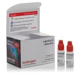 Invitrogen™ SYTOX AADvanced™ Ready Flow™ Reagent - Thermo Fisher Scientific - Life Sciences