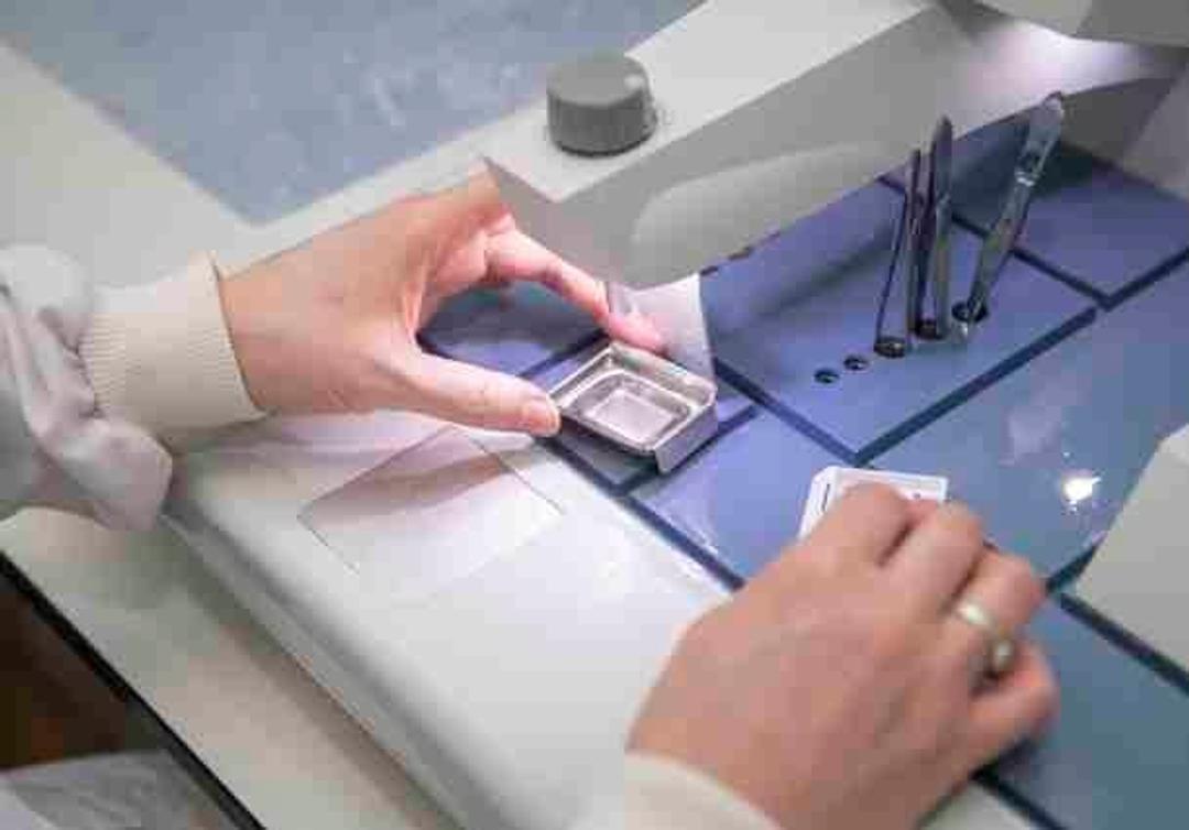 Histology Contract Services - The Niche CRO Group - Life Sciences