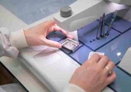 Histology Contract Services - The Niche CRO Group - Life Sciences