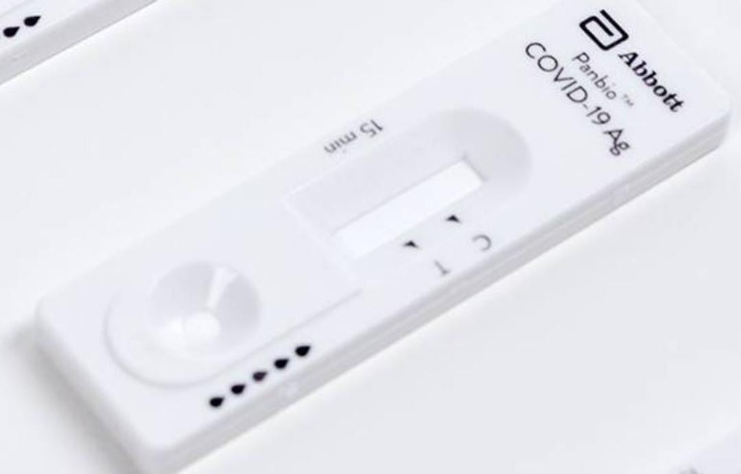 Panbio™ COVID-19 Ag Rapid Test Device - Abbott - Clinical Diagnostics