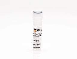 StemSpan™ Megakaryocyte Expansion Supplement (100X) - STEMCELL Technologies Inc. - Life Sciences