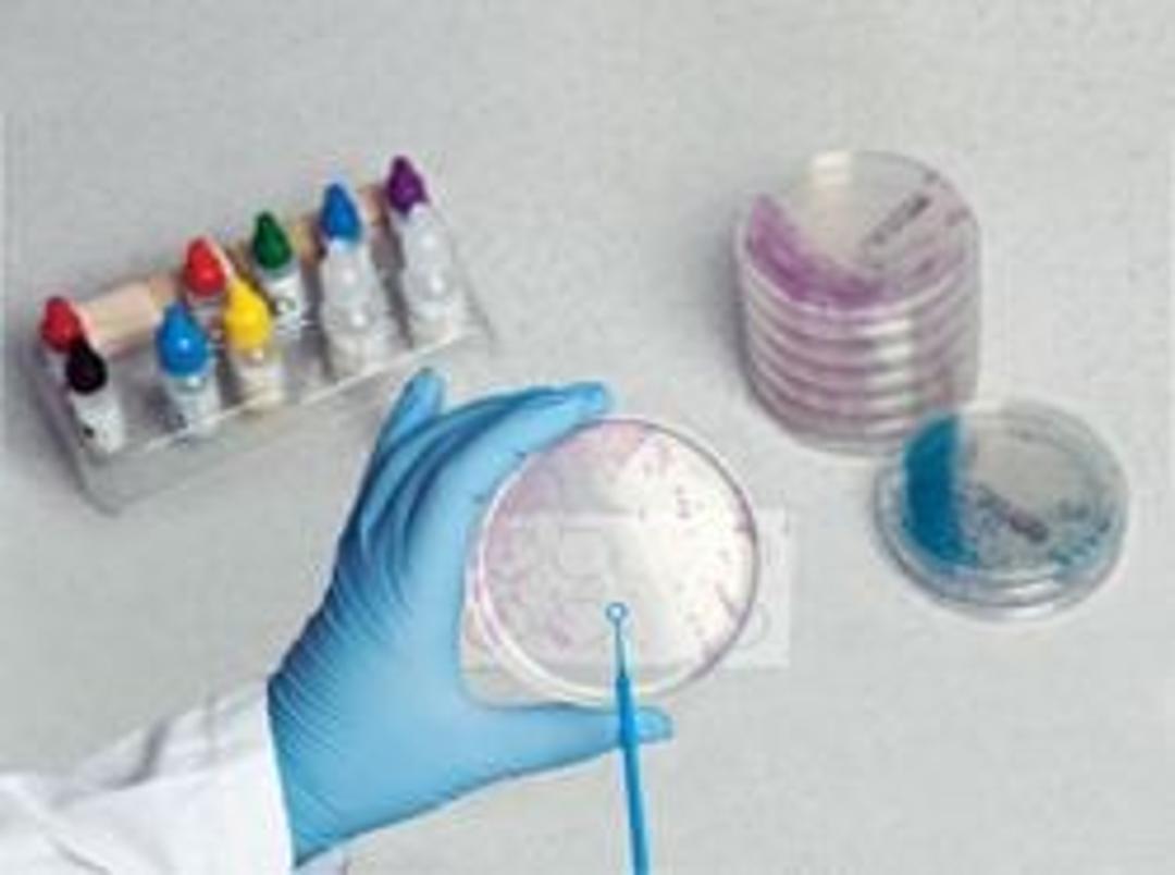 Thermo Scientific GBS Agar Base - Thermo Fisher Scientific - Life Sciences