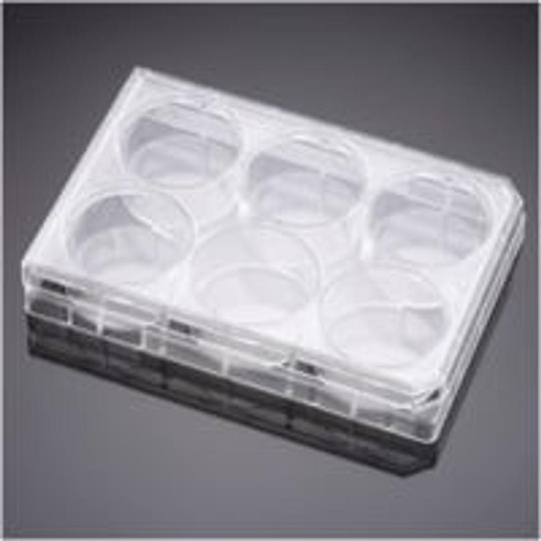 Corning® PureCoat™ Collagen I Peptide 6-well Flat Bottom TC-treated Plate, with Lid, Sterile, 5/Pack, 10/Case - Corning Life Sciences - Life Sciences