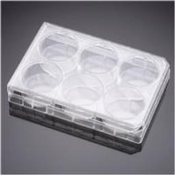 Corning® PureCoat™ Collagen I Peptide 6-well Flat Bottom TC-treated Plate, with Lid, Sterile, 5/Pack, 10/Case - Corning Life Sciences - Life Sciences