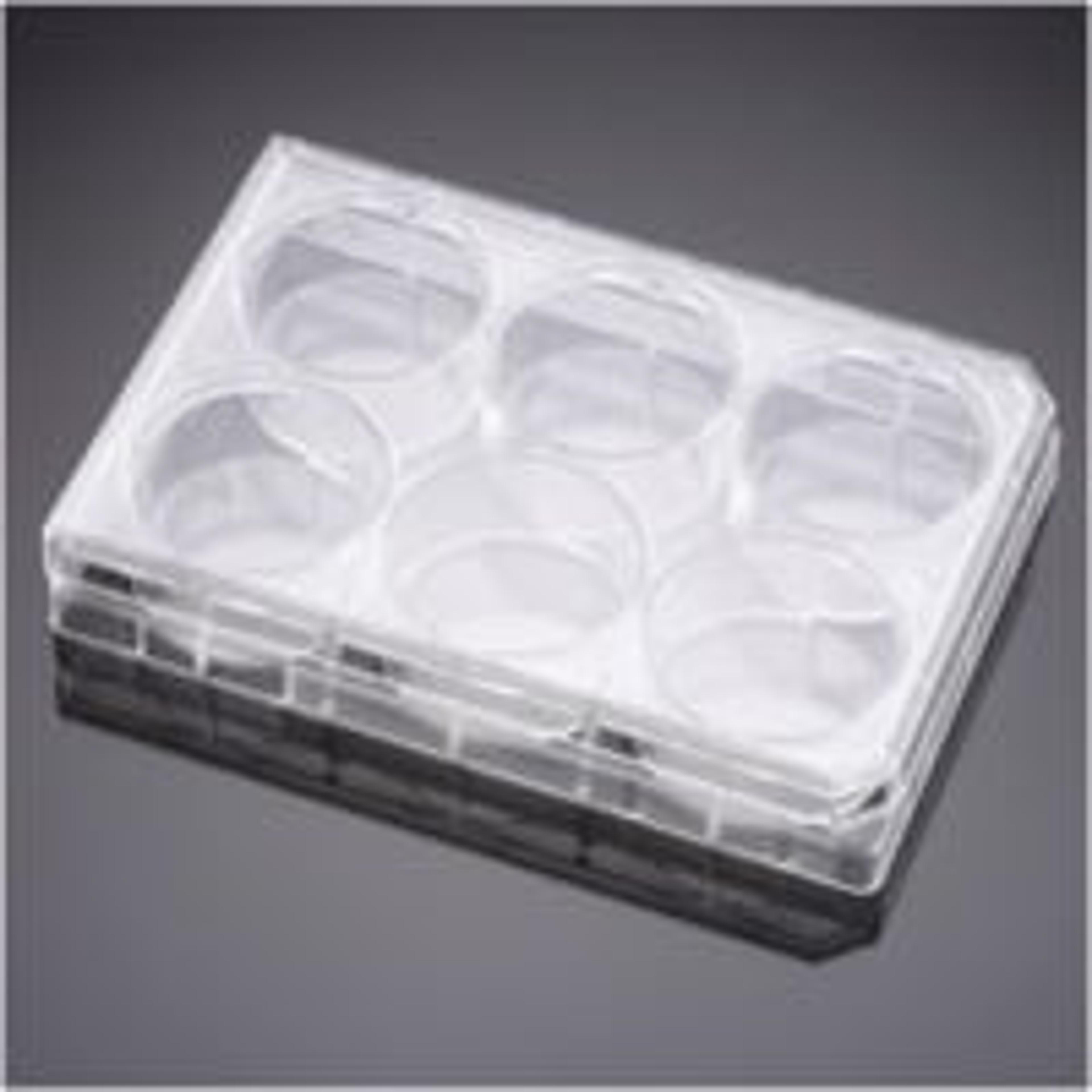Corning® Primaria™ 6-well Cell Clear Flat Bottom Surface-Modified Multiwell Culture Plate, with Lid, Sterile,50/Case - Corning Life Sciences - Life Sciences