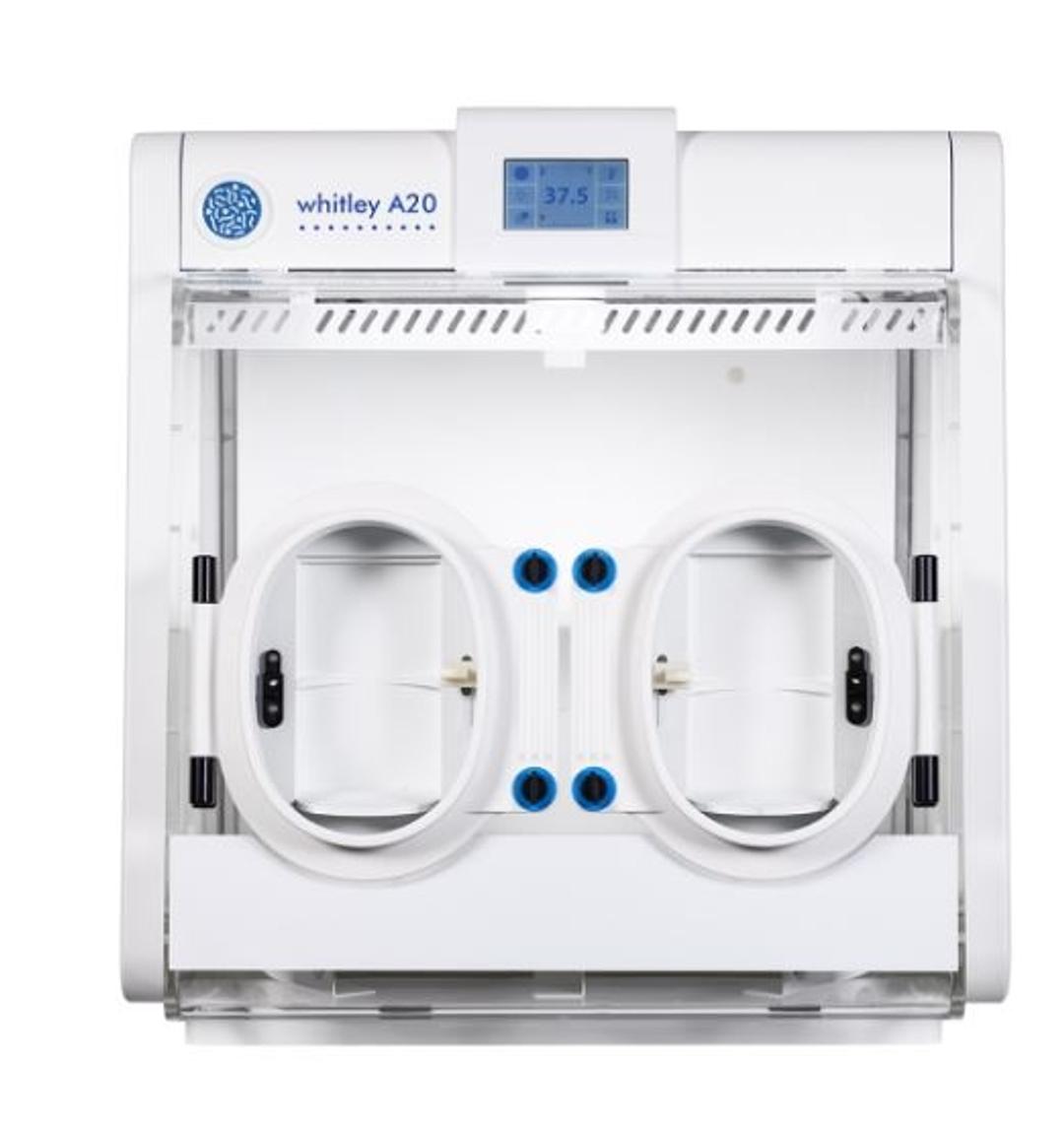 Whitley A20 Anaerobic Workstation - Don Whitley Scientific - General Lab