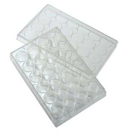 24-Well Treated Cell Culture Plate with Lid; 50/cs - CELLTREAT Scientific Products - Life Sciences