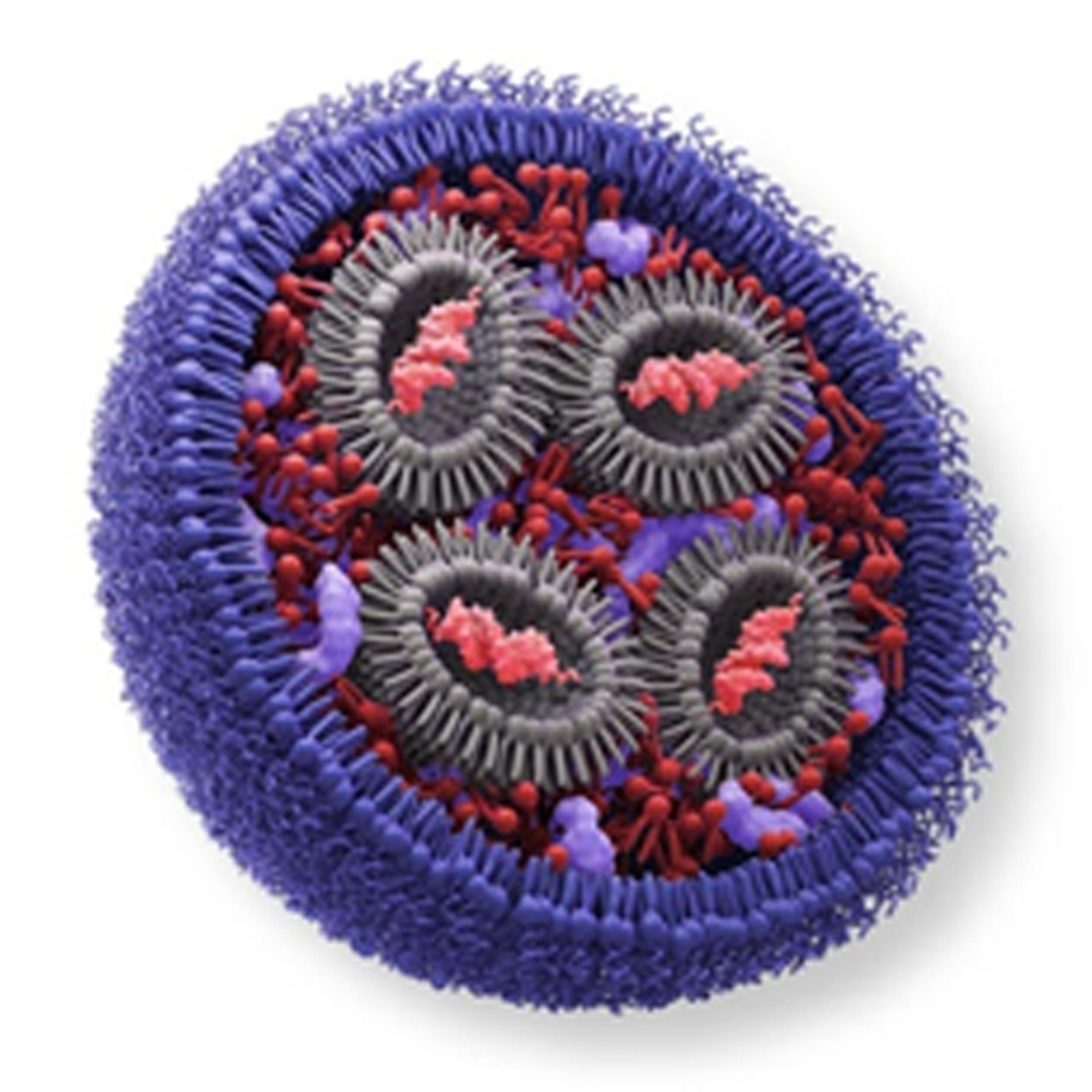 Invitrogen™ Vivofectamine™ Delivery Solutions - Thermo Fisher Scientific - Life Sciences