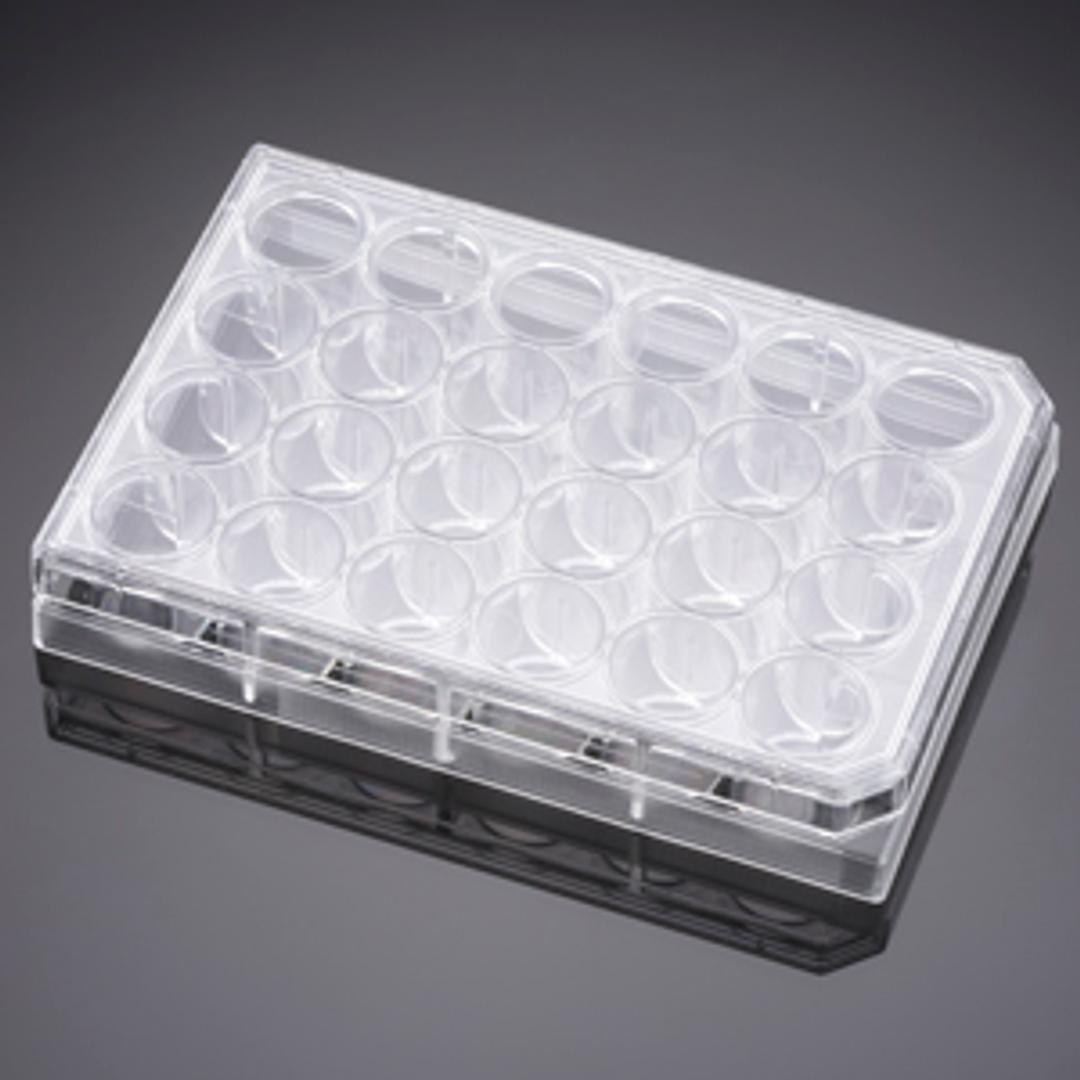 Corning® Primaria™ 24-well Flat Bottom Surface Modified Multiwell Cell Culture Plate, with Lid, Ind. Wrapped, Sterile, 50/Cs - Corning Life Sciences - Life Sciences