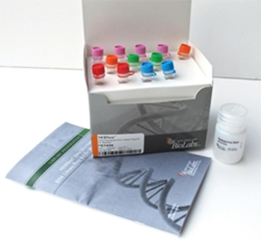 NEBNext® Reagents for DNA Library Preparation - New England Biolabs Inc. - Life Sciences