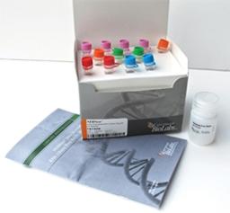 NEBNext® Reagents for DNA Library Preparation - New England Biolabs Inc. - Life Sciences