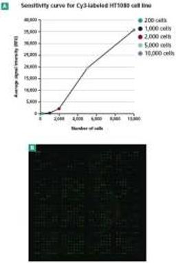 Antibody Array Nanoscale Buffer Kit - Clontech Laboratories, Inc. - Life Sciences