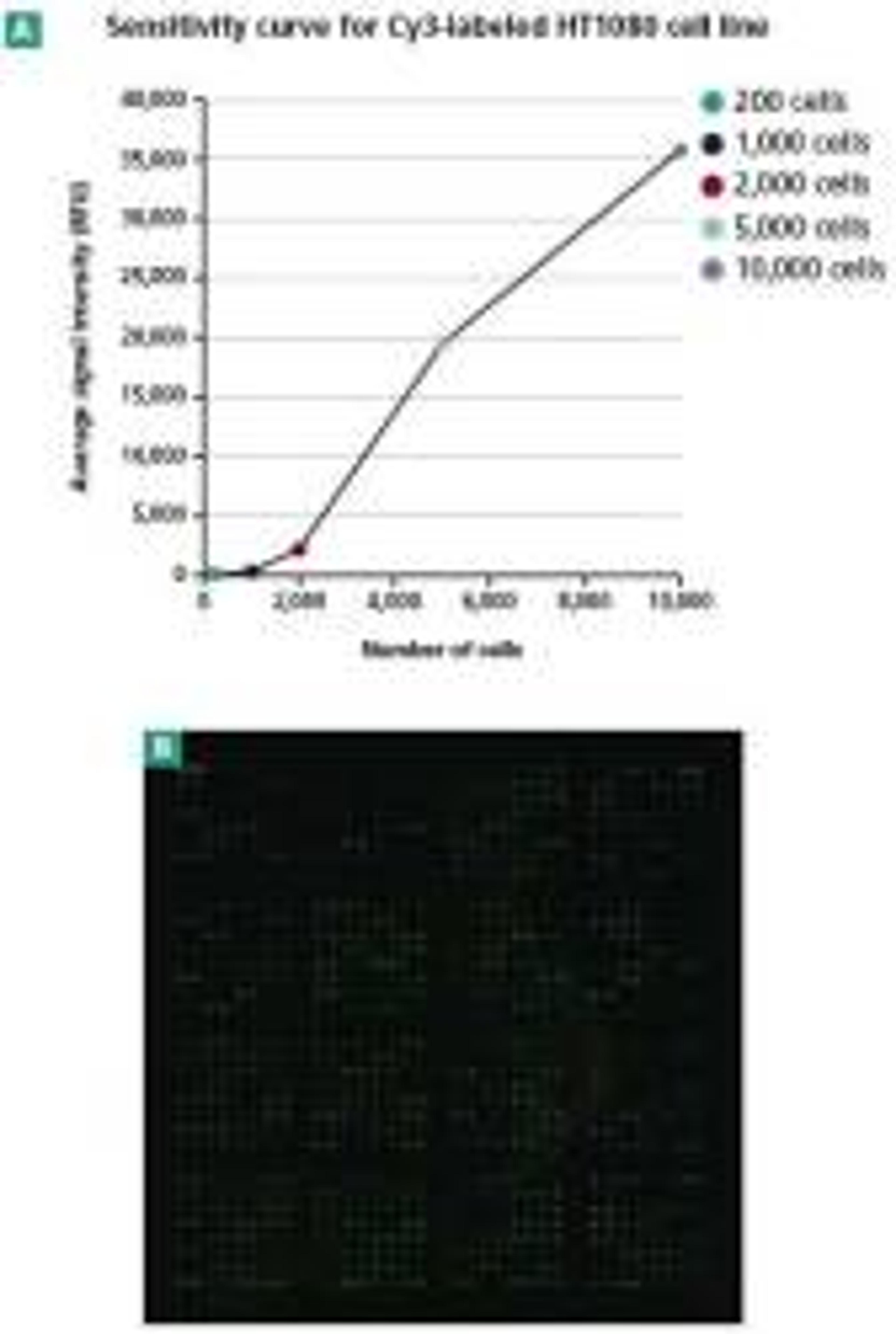 Antibody Array Nanoscale Buffer Kit - Clontech Laboratories, Inc. - Life Sciences