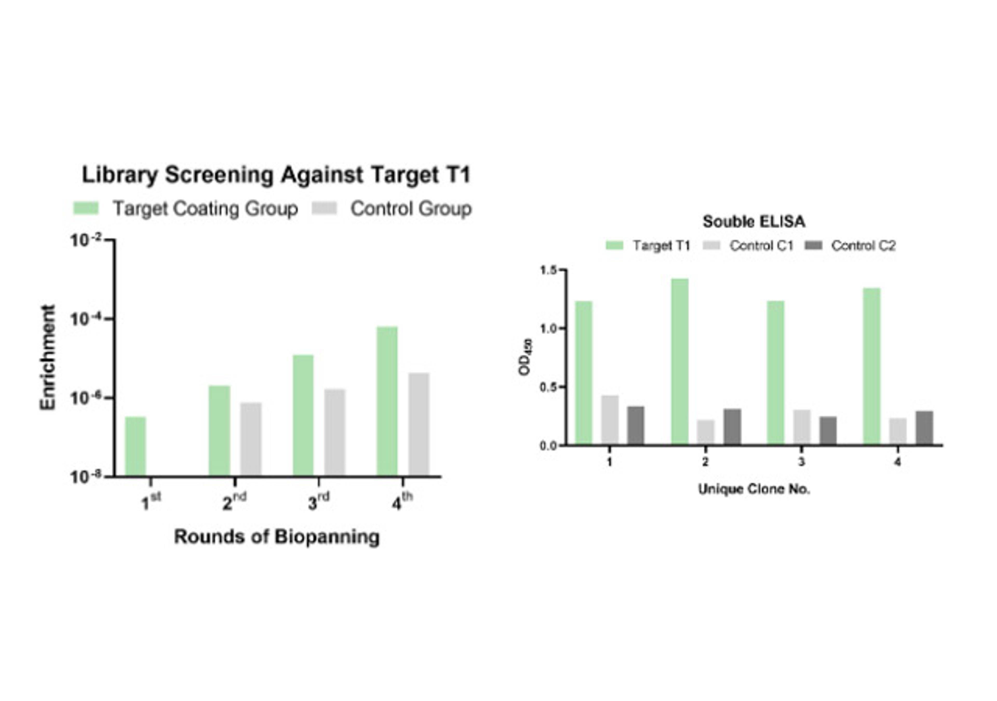 Phage Display LlaVHHL-2 Llama Naïve Single Domain Antibody Library Screening Service