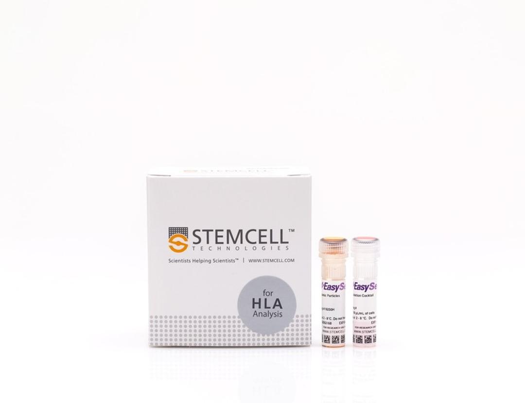 EasySep™ HLA T Cell Enrichment Kit - STEMCELL Technologies Inc. - Life Sciences