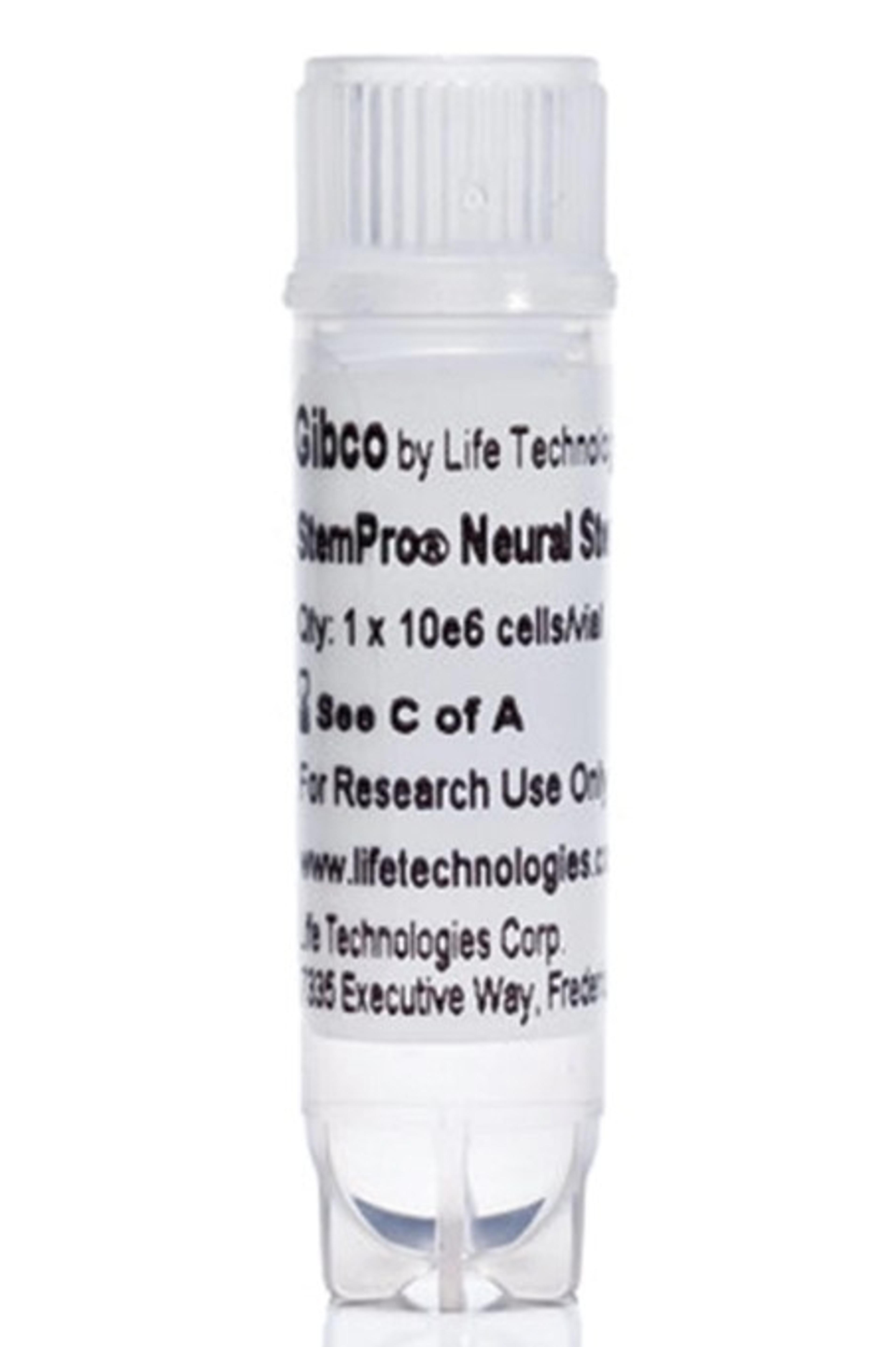 StemPro™ Neural Stem Cells - Thermo Fisher Scientific - Life Sciences