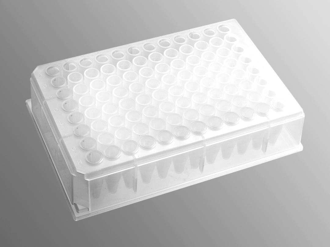 Axygen® 96-well Clear V-Bottom 600 µL Polypropylene Deep Well Plate, 5 per Pack, Sterile - Corning Life Sciences - Life Sciences
