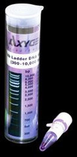 1 kb DNA Ladder - Axygen Scientific, Inc. - Life Sciences