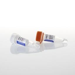 DNA Polymerase I - Promega Corp. - Environmental