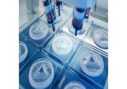 Induced Pluripotent Stem Cells (iPSC) Services