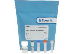 SPEAR UltraDetect™ GFAP Biomarker Assay Kit