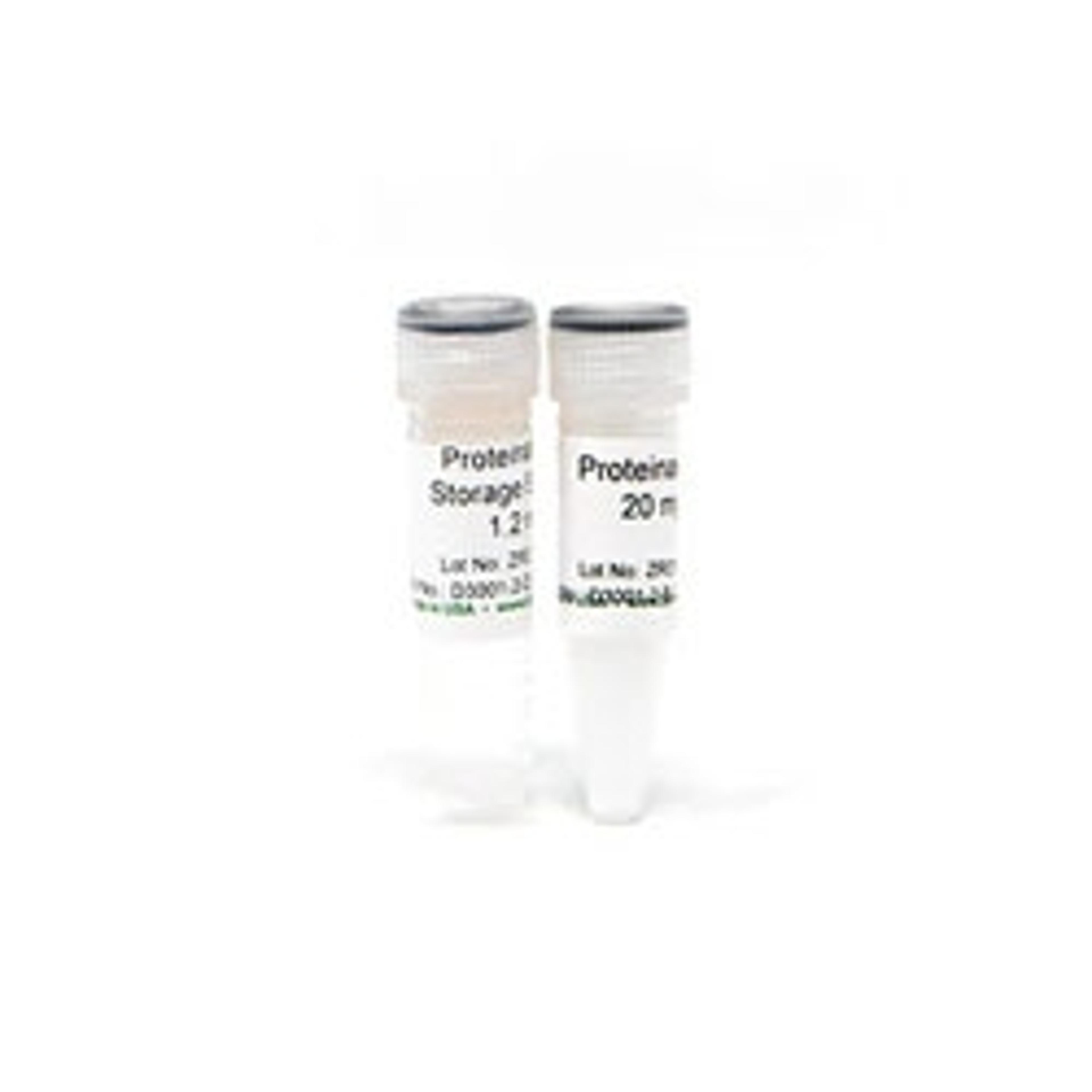 Proteinase K w/ Storage Buffer Set - Zymo Research - Life Sciences
