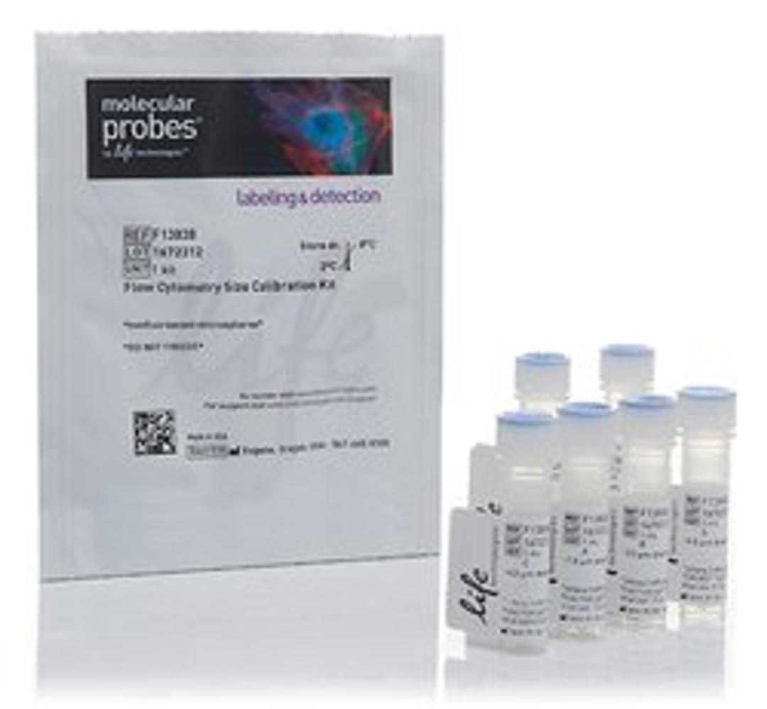 Invitrogen™ Flow Cytometry Size Calibration Kit - Thermo Fisher Scientific - Life Sciences
