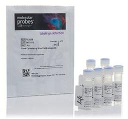 Invitrogen™ Flow Cytometry Size Calibration Kit - Thermo Fisher Scientific - Life Sciences