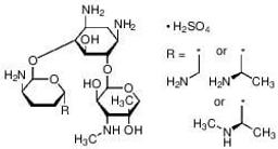 Gentamicin sulfate salt - Merck KGaA, Darmstadt, Germany - Life Sciences