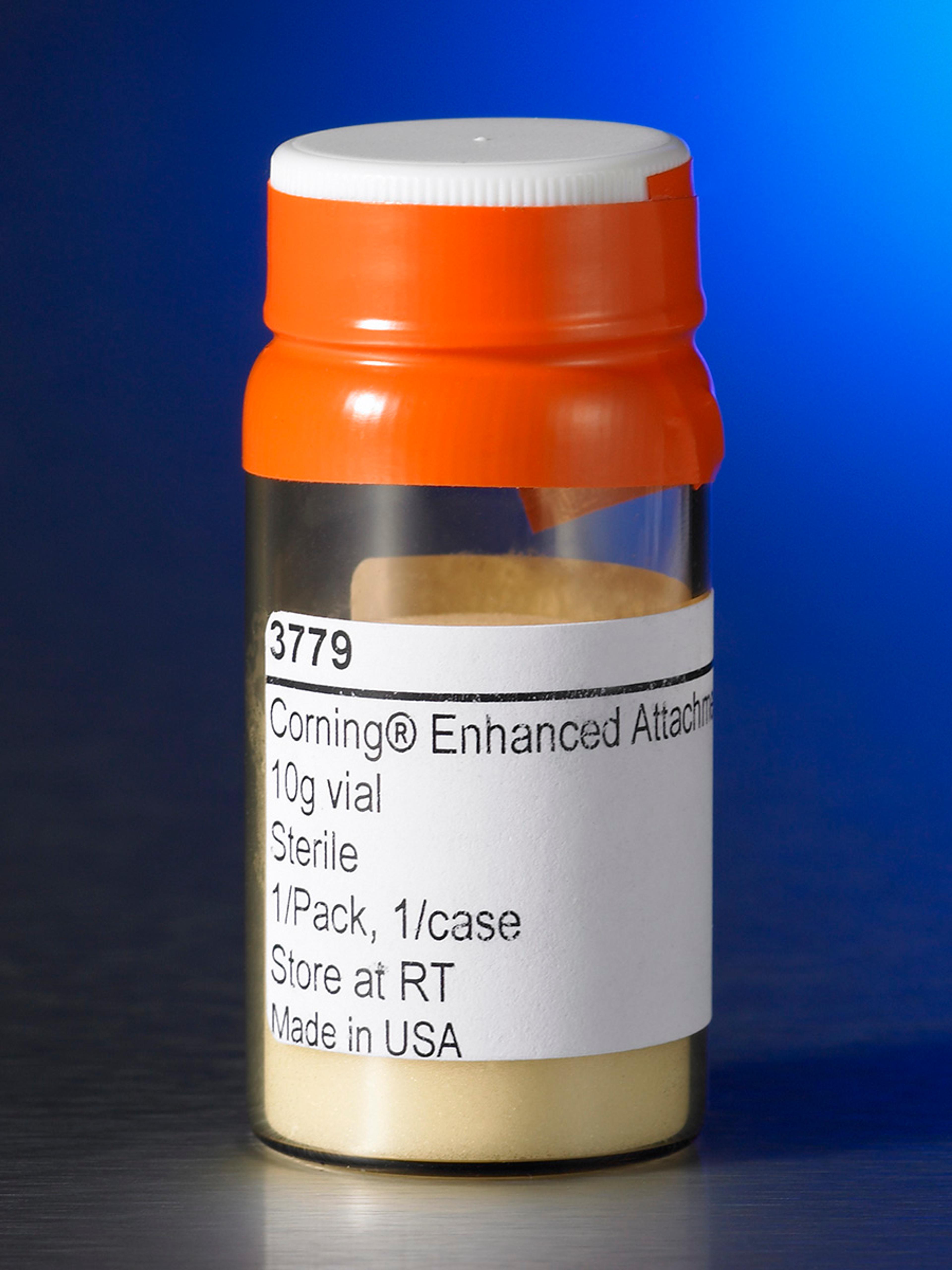 Corning® Enhanced Attachment Microcarriers, 10g Vial - Corning Life Sciences - Life Sciences