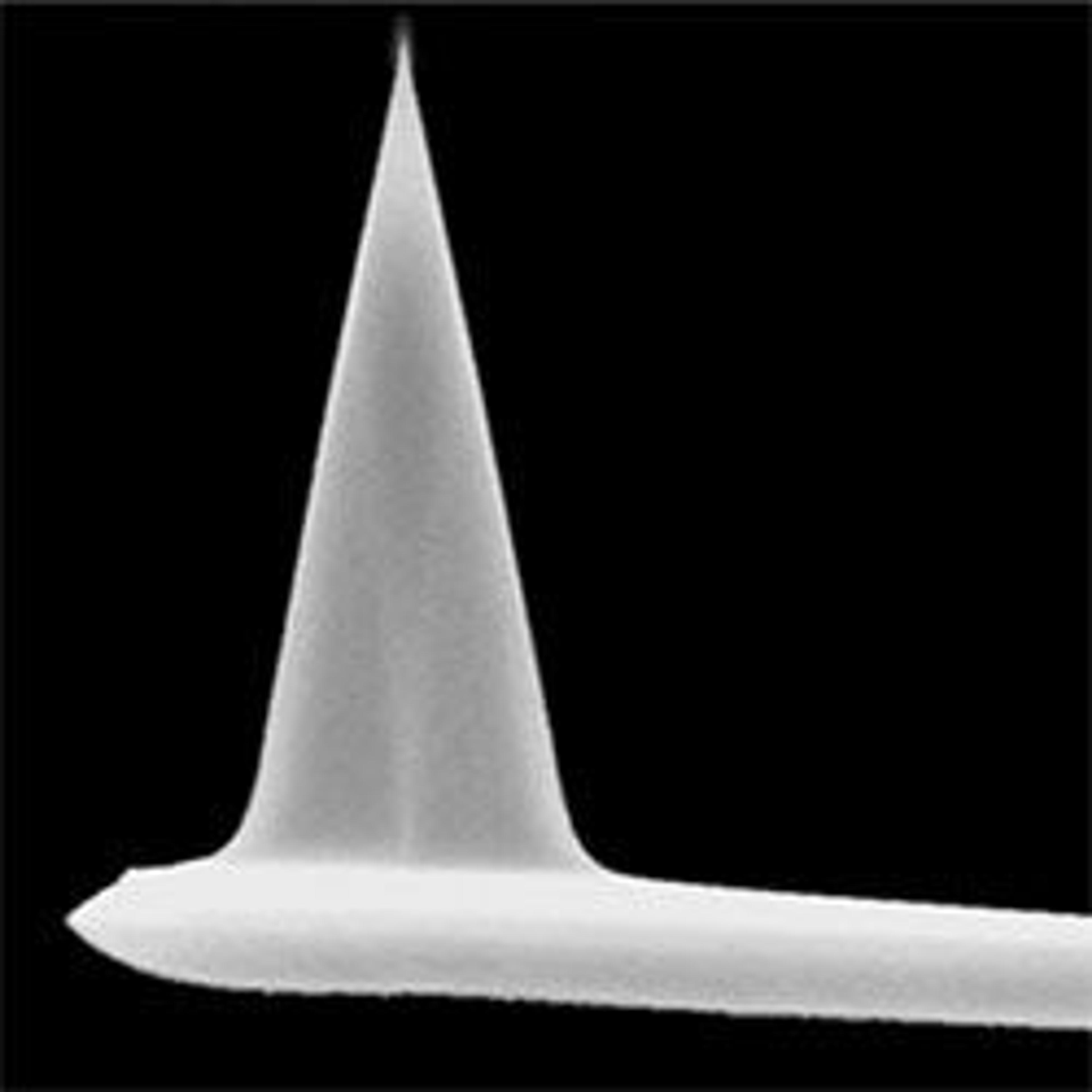 CSG11 AFM Mode Contact Probe - K-TEK Nanotechnology - Life Sciences