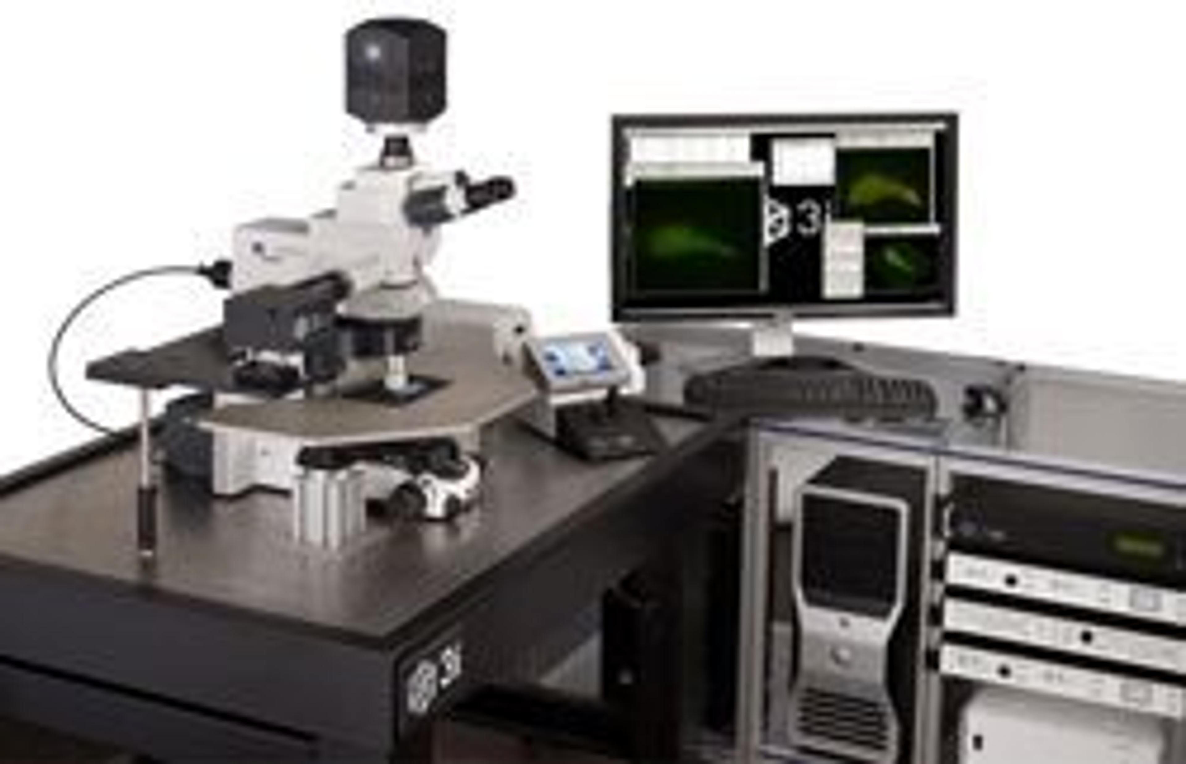 Vivo 2-Photon™ - Intelligent Imaging Innovations (3i) - Life Sciences
