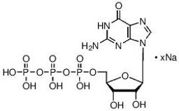Guanosine 5′-triphosphate sodium salt hydrate - Merck KGaA, Darmstadt, Germany - Life Sciences