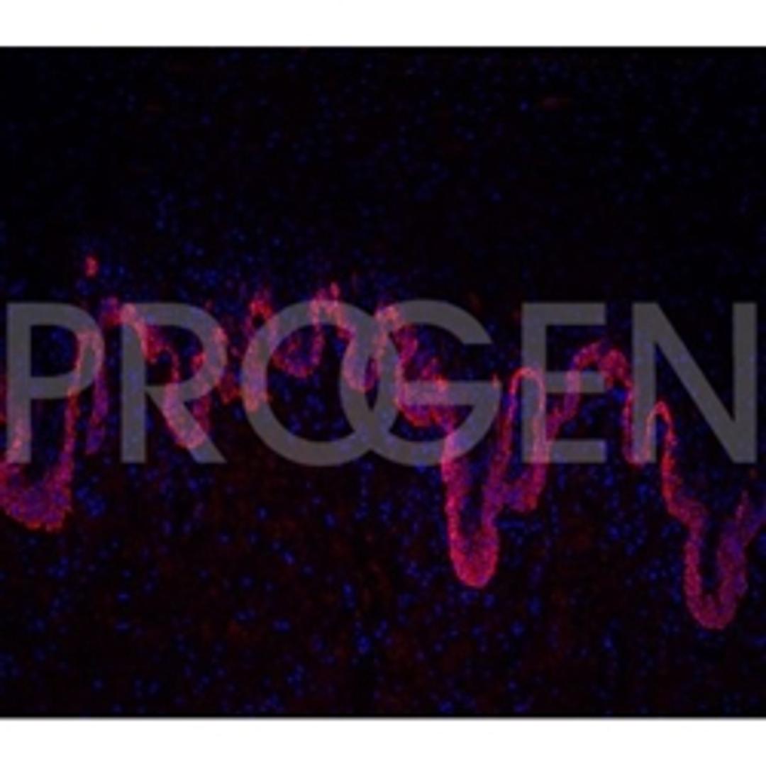 IHC antibodies - PROGEN - Life Sciences