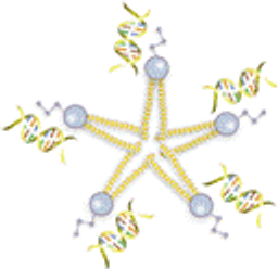 VeroFect - OZ Biosciences - Life Sciences