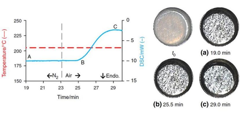 The DSC profile and temperature programme have been plotted as a function of time