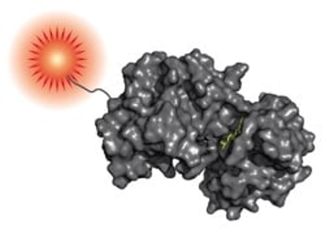 Monolith His-Tag Labeling Kit RED-tris-NTA - NanoTemper Technologies - General Lab