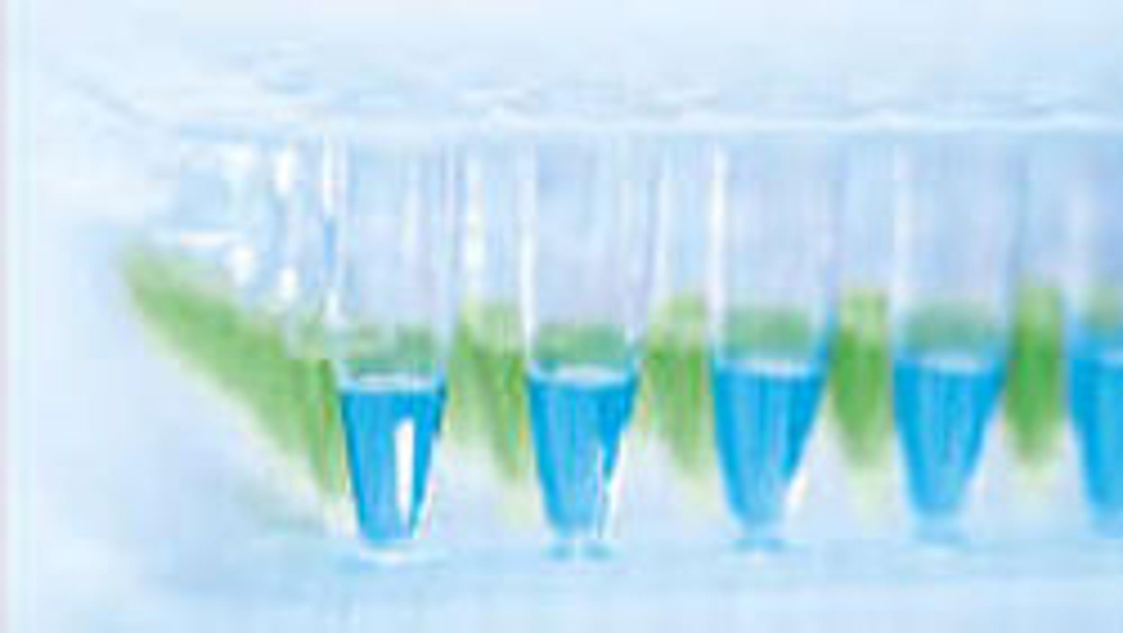 QuantiNova Probe PCR Kit (500) - QIAGEN