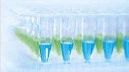 QuantiNova Probe PCR Kit (500) - QIAGEN