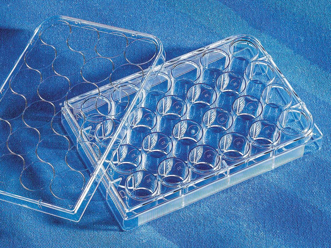 Costar® 24-well Clear Flat Bottom Ultra-Low Attachment Multiple Well Plates, Individually Wrapped, Sterile - Corning Life Sciences - Life Sciences