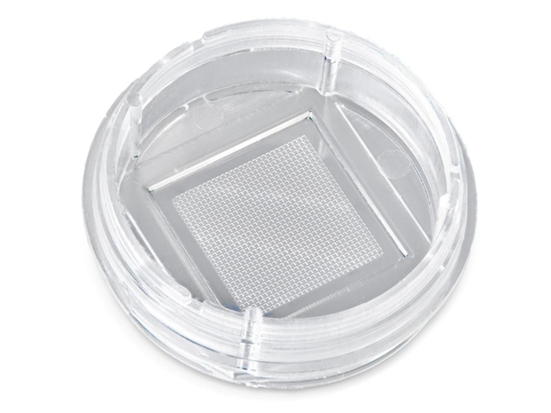 ARRALYZE Glass Nanowell Dish - Arralyze - Drug discovery > Lead Discovery