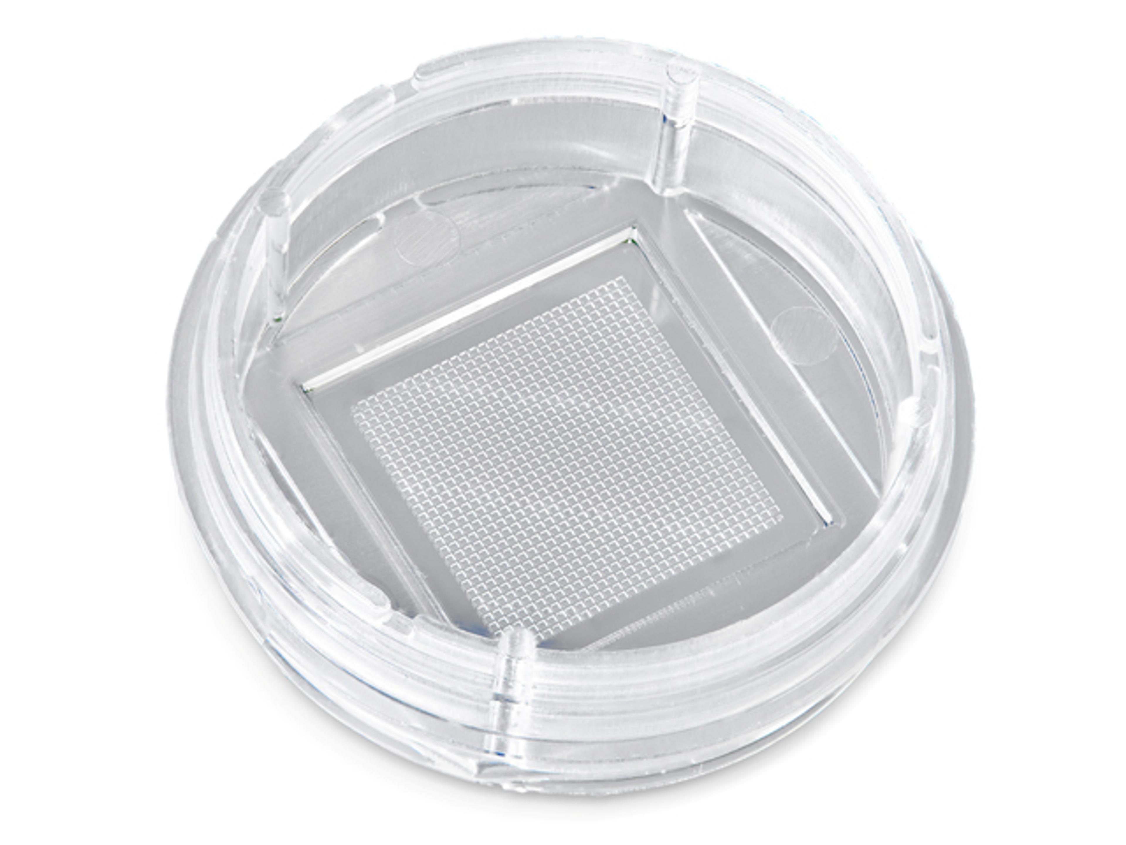 ARRALYZE Glass Nanowell Dish - Arralyze - Drug discovery > Lead Discovery