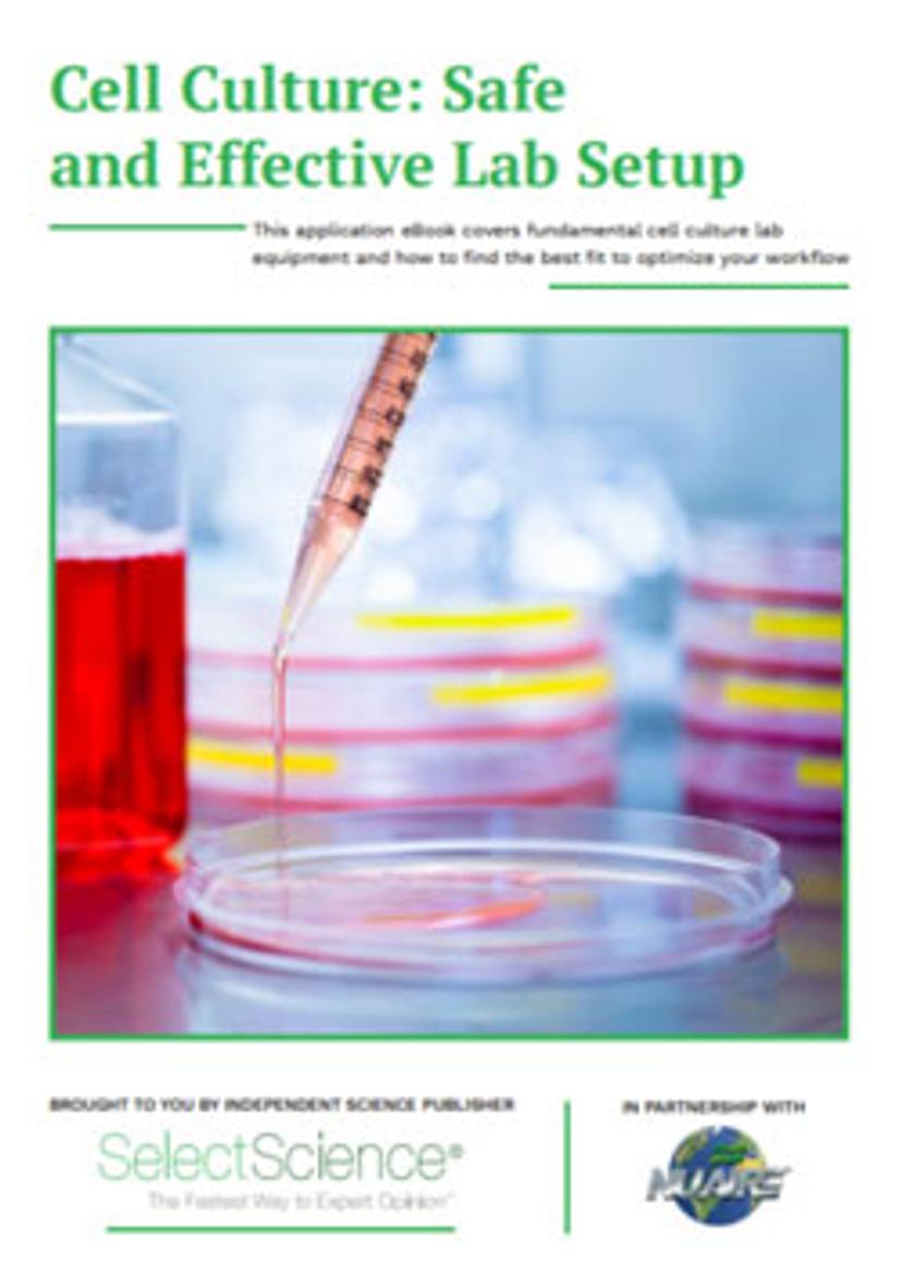 Monoclonal Antibodies for cancer therapy eBook