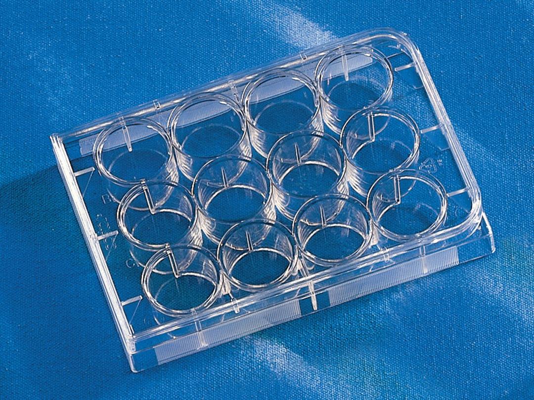 Costar® 12-well Clear TC-treated Multiple Well Plates, Individually Wrapped, Sterile - Corning Life Sciences - Life Sciences