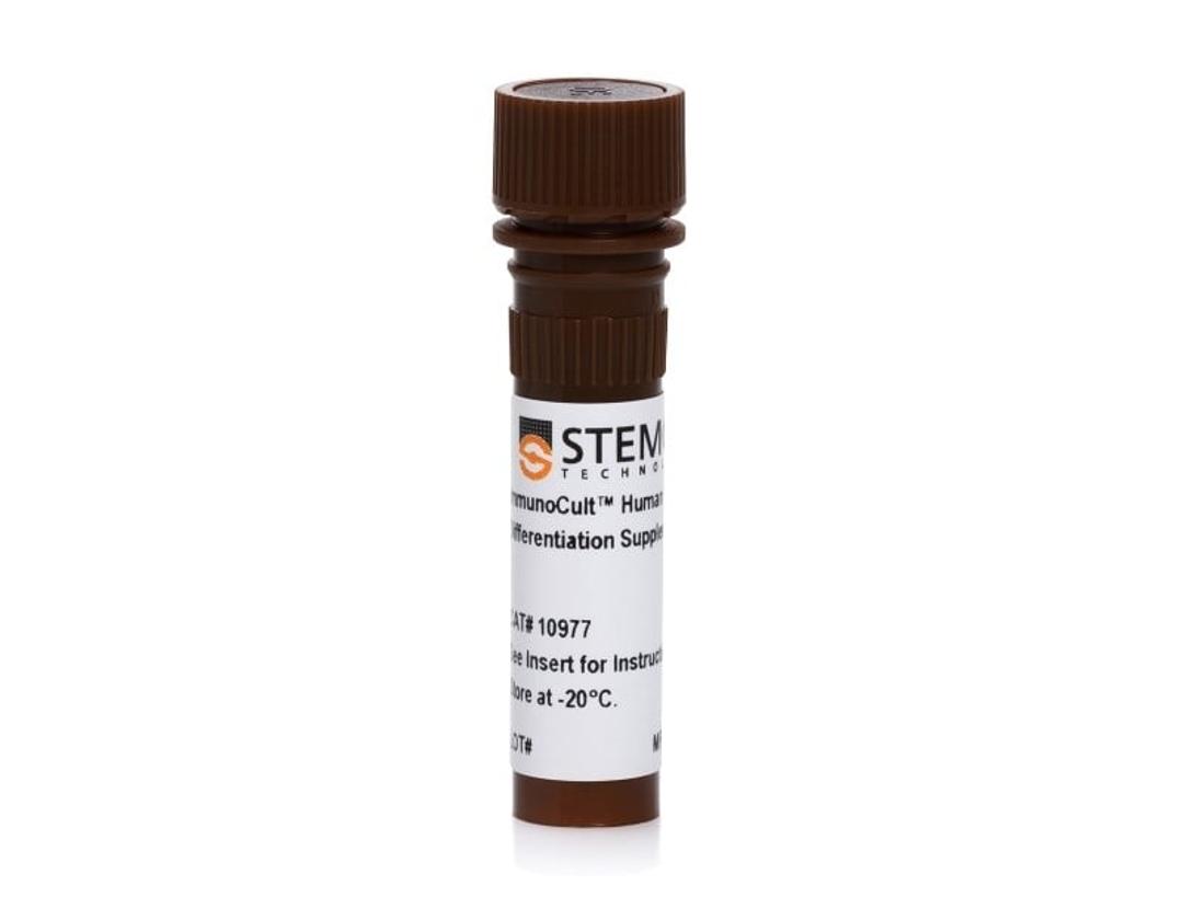ImmunoCult™ Human Treg Differentiation Supplement - STEMCELL Technologies Inc. - Life Sciences