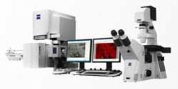 ZEISS Shuttle & Find for ZEN Imaging Software for Life Sciences - ZEISS Research Microscopy Solutions - Life Sciences