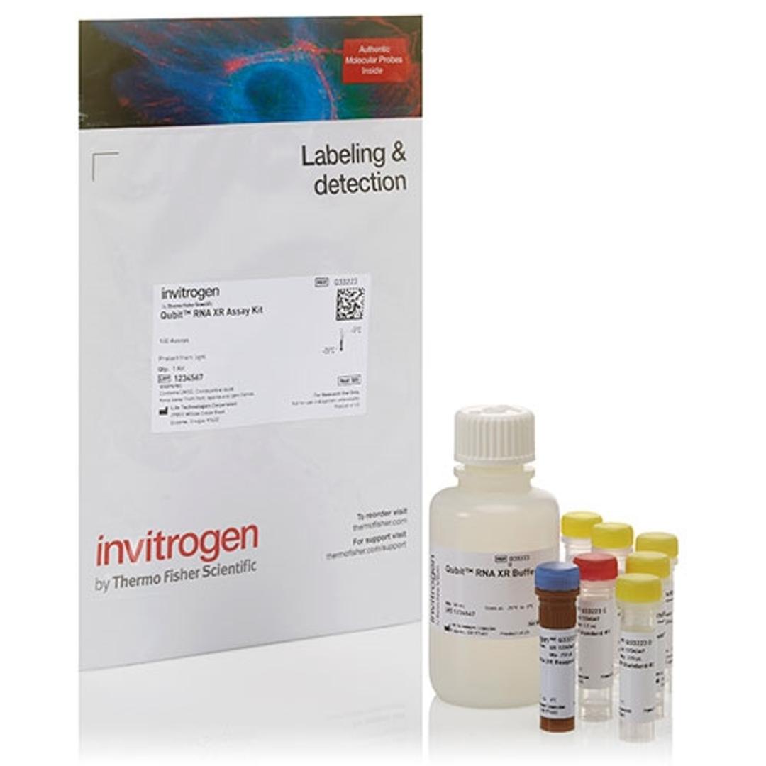 Invitrogen™ Qubit™ RNA XR Assay Kit - Thermo Fisher Scientific - Life Sciences